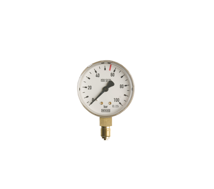 Manometer blank 0-100 bar 63 mm