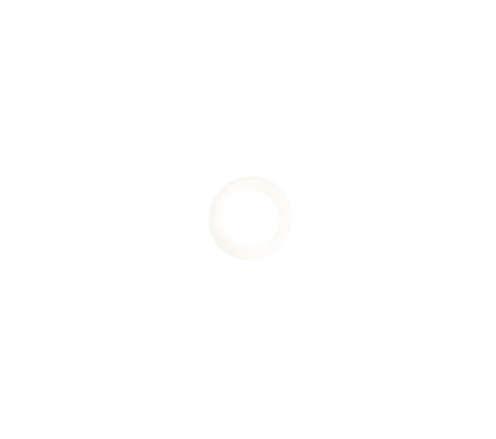 Dichtring 21.8 kunststof