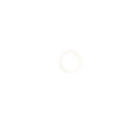 Dichtring 21.8 kunststof