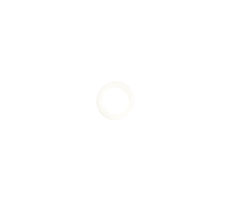 Dichtring 21.8 kunststof
