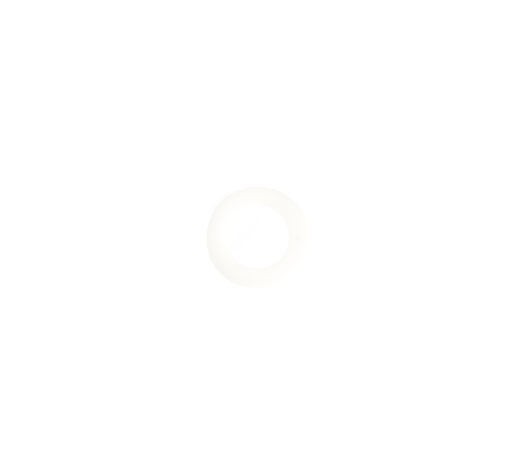 Dichtring 24.32 kunststof