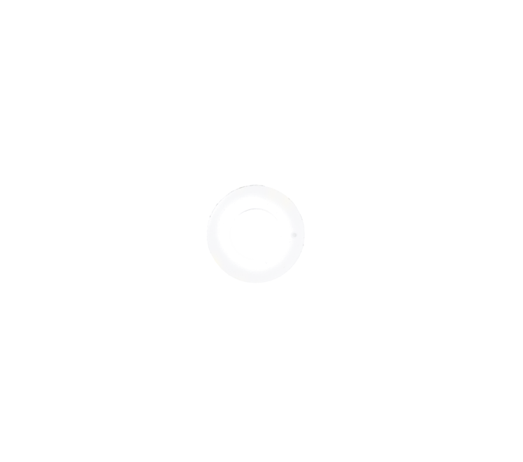 Dichtring PVDF 1"W NEN