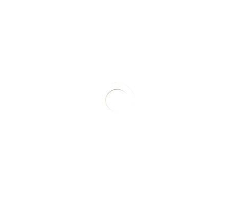 Dichtring PCTFE 21.8