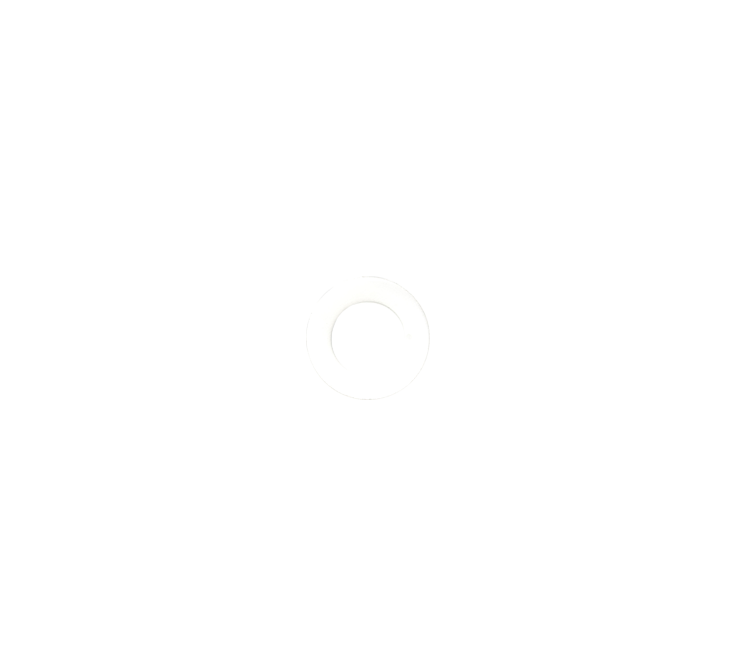 Dichtring 24.32 kunststof