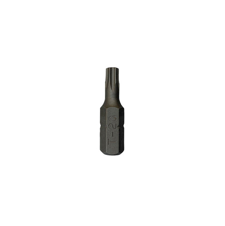 1/4 BIT TORX 20 HOL