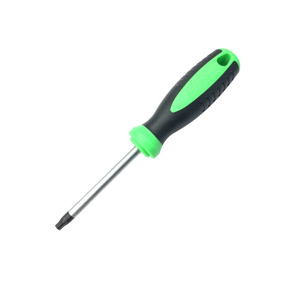 TORX SCHROEVENDRAAIER T25X100